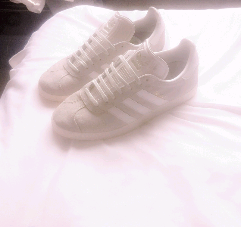 gazelle og mint